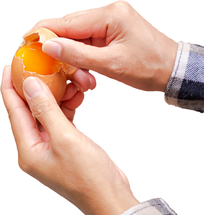 Egg-Hand