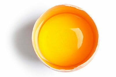 egg-yolk